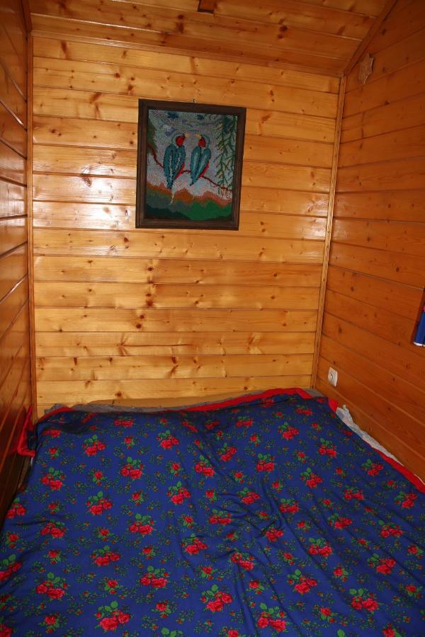 Domek Pod Zielonym Lasem Zakopane Exterior photo