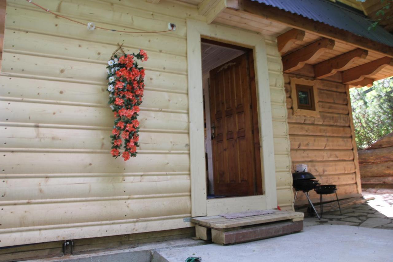 Domek Pod Zielonym Lasem Zakopane Exterior photo
